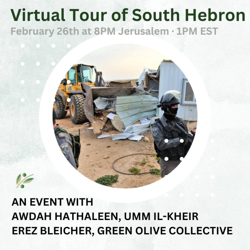 green olive tours hebron
