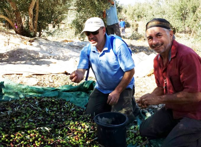 green olive tours hebron