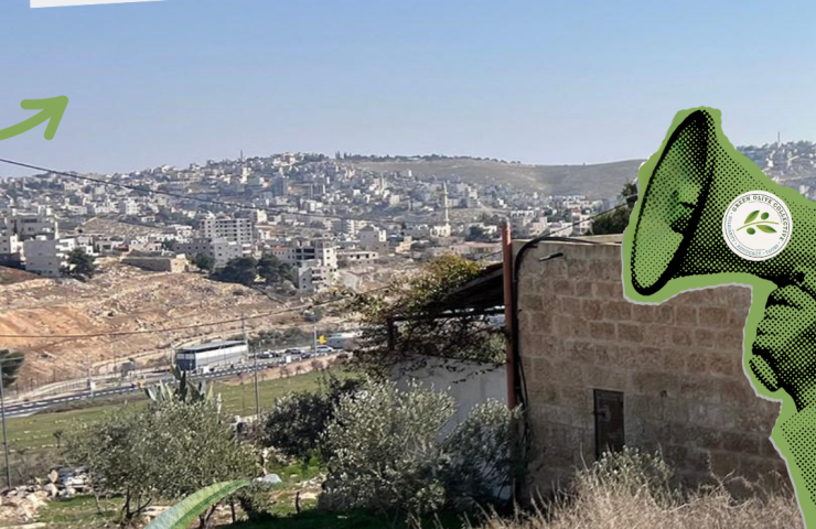 Cultural and political tours to Israel & Palestine