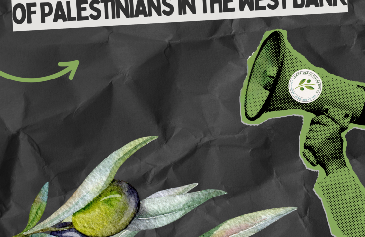 Cultural and political tours to Israel & Palestine