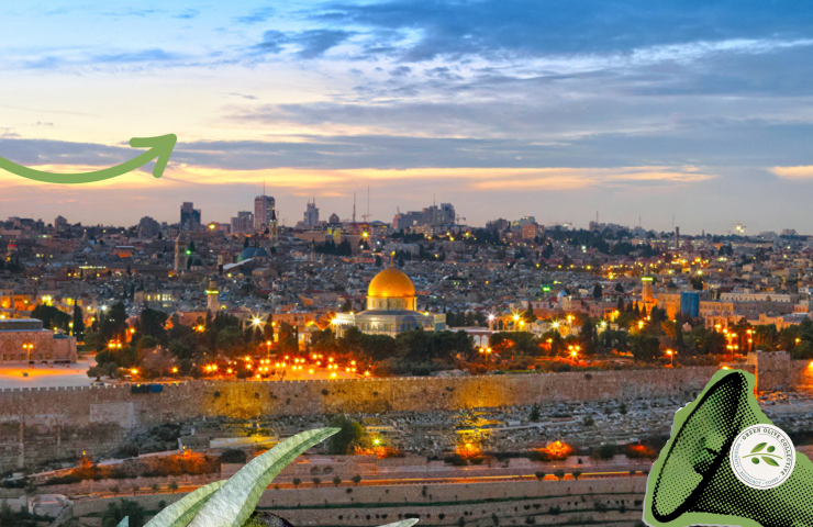 Cultural and political tours to Israel & Palestine